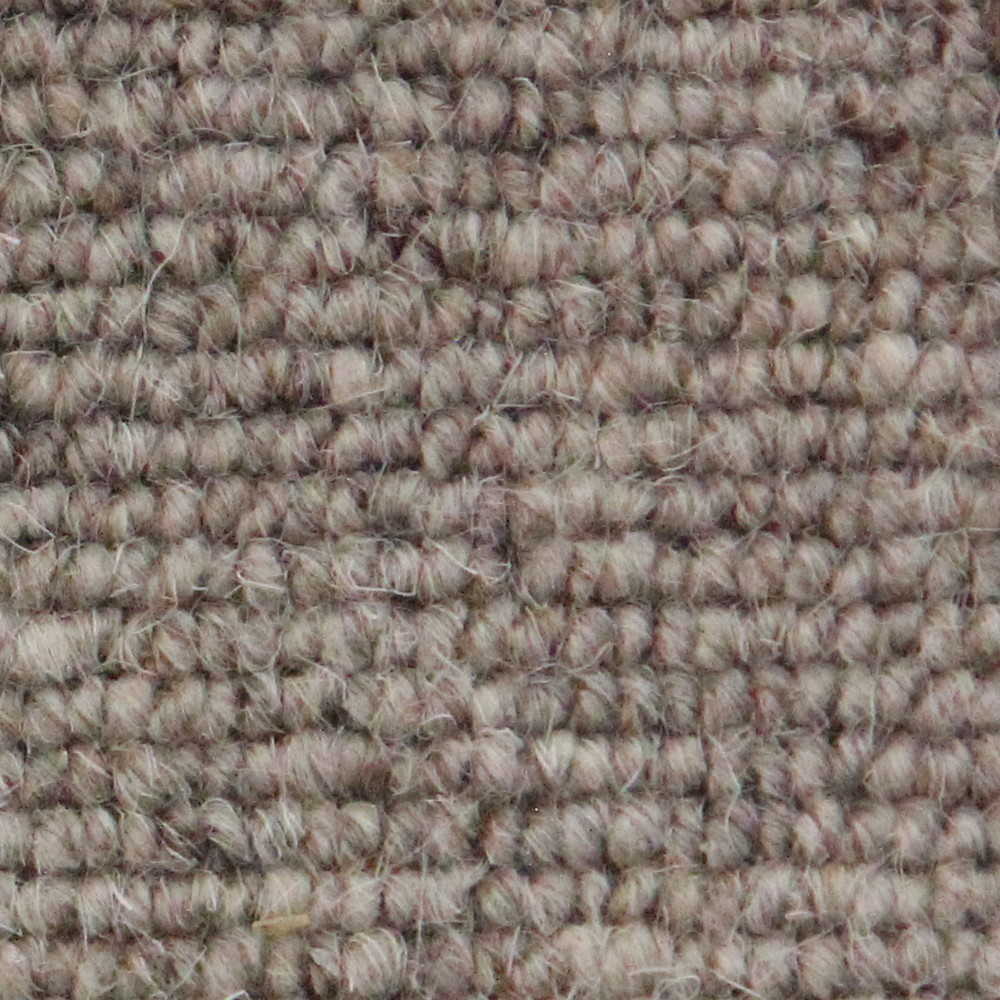 Auckland Linear Loop