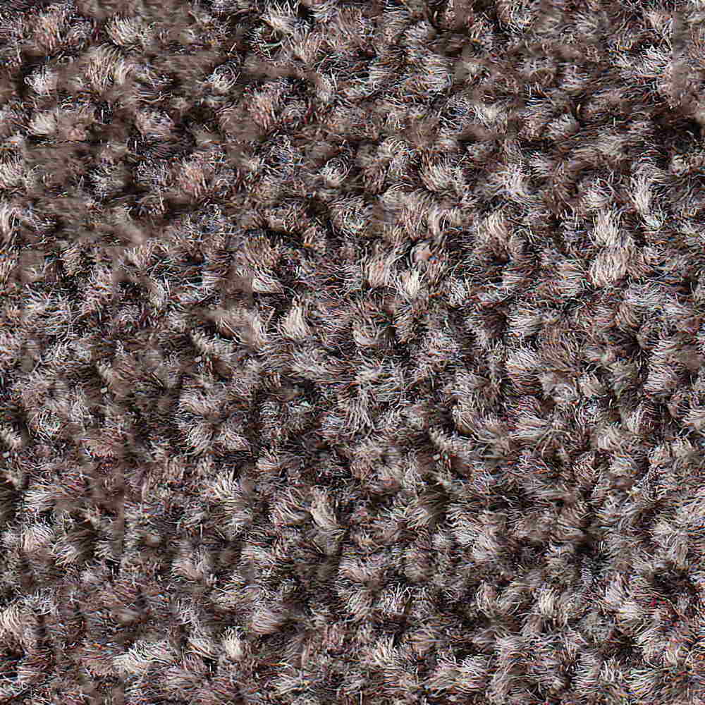 Mocha Carpet
