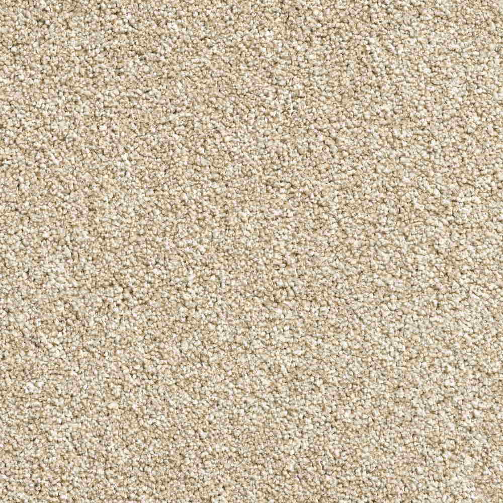 Beige Carpet