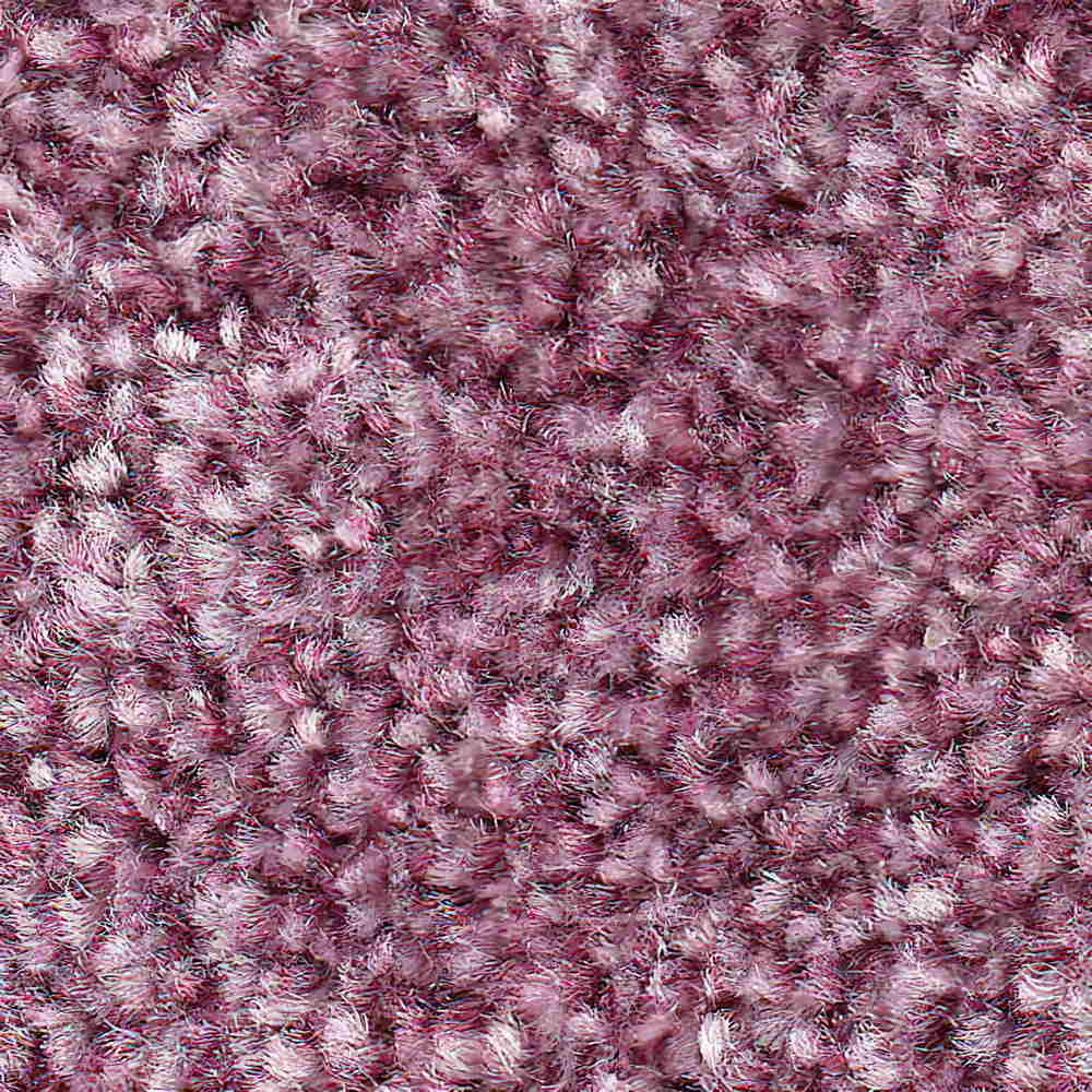 Thristle Carpet