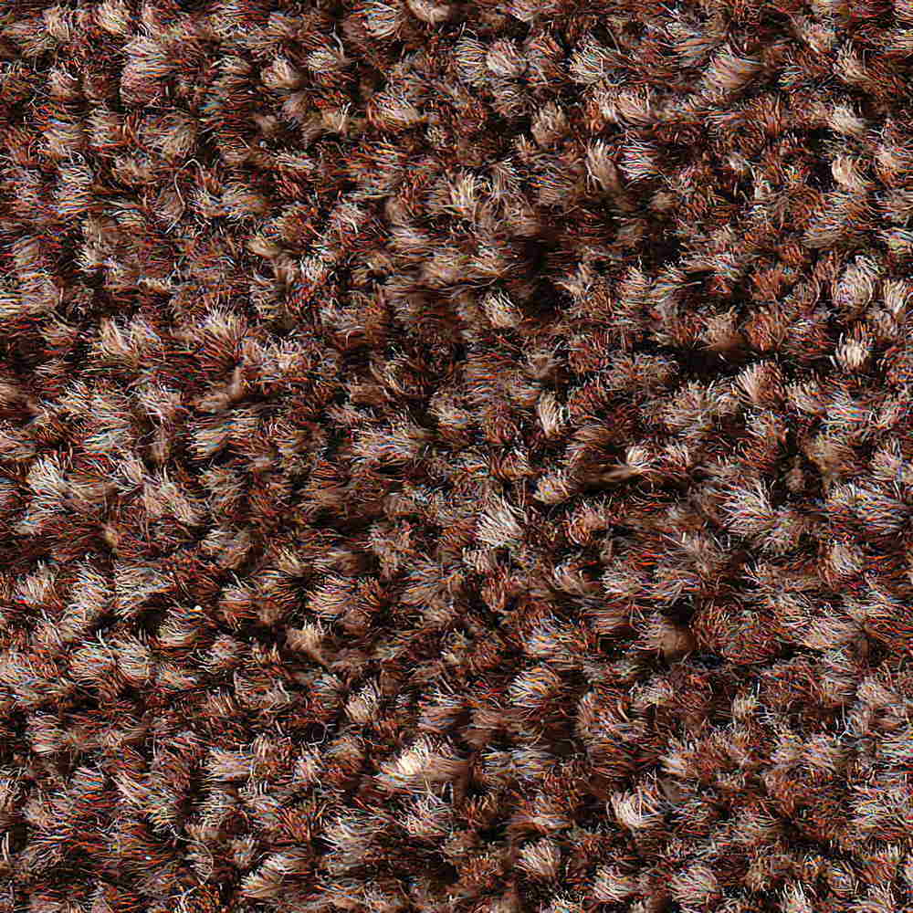 Truffle Carpet
