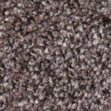 Mocha Carpet 