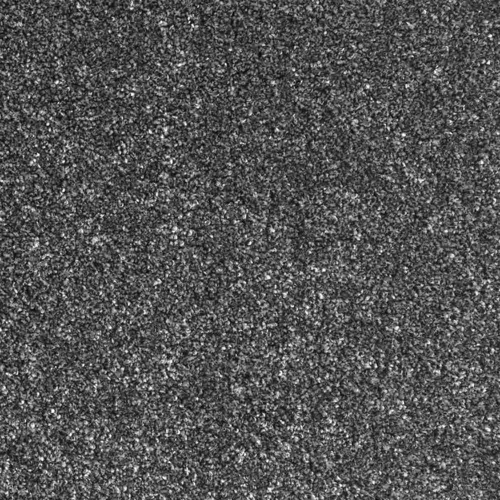 Dark Grey Carpet 