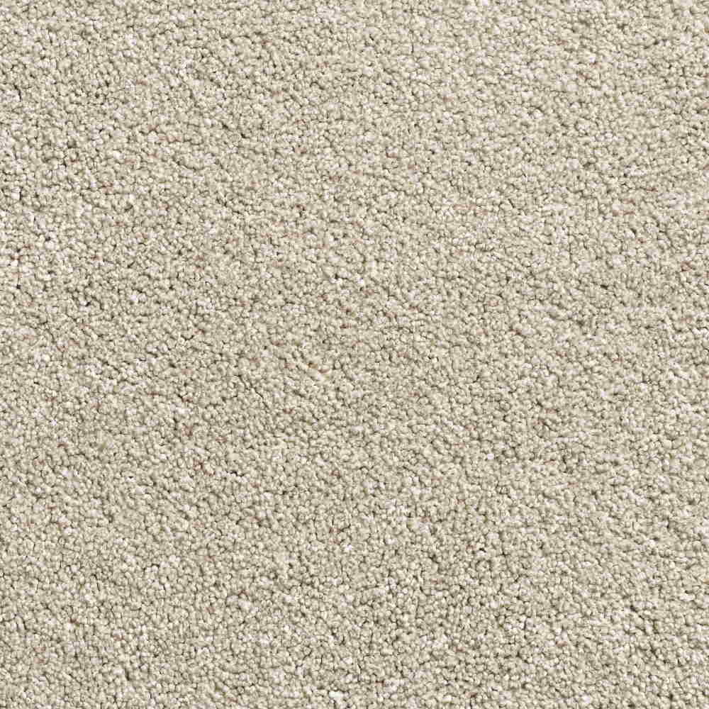 Beige Carpet