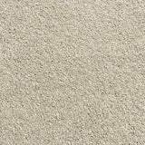 Beige Carpet