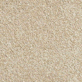 Beige Carpet