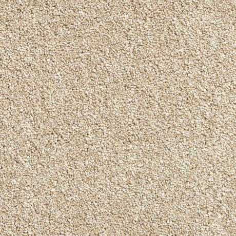 Excellence Deluxe Carpet