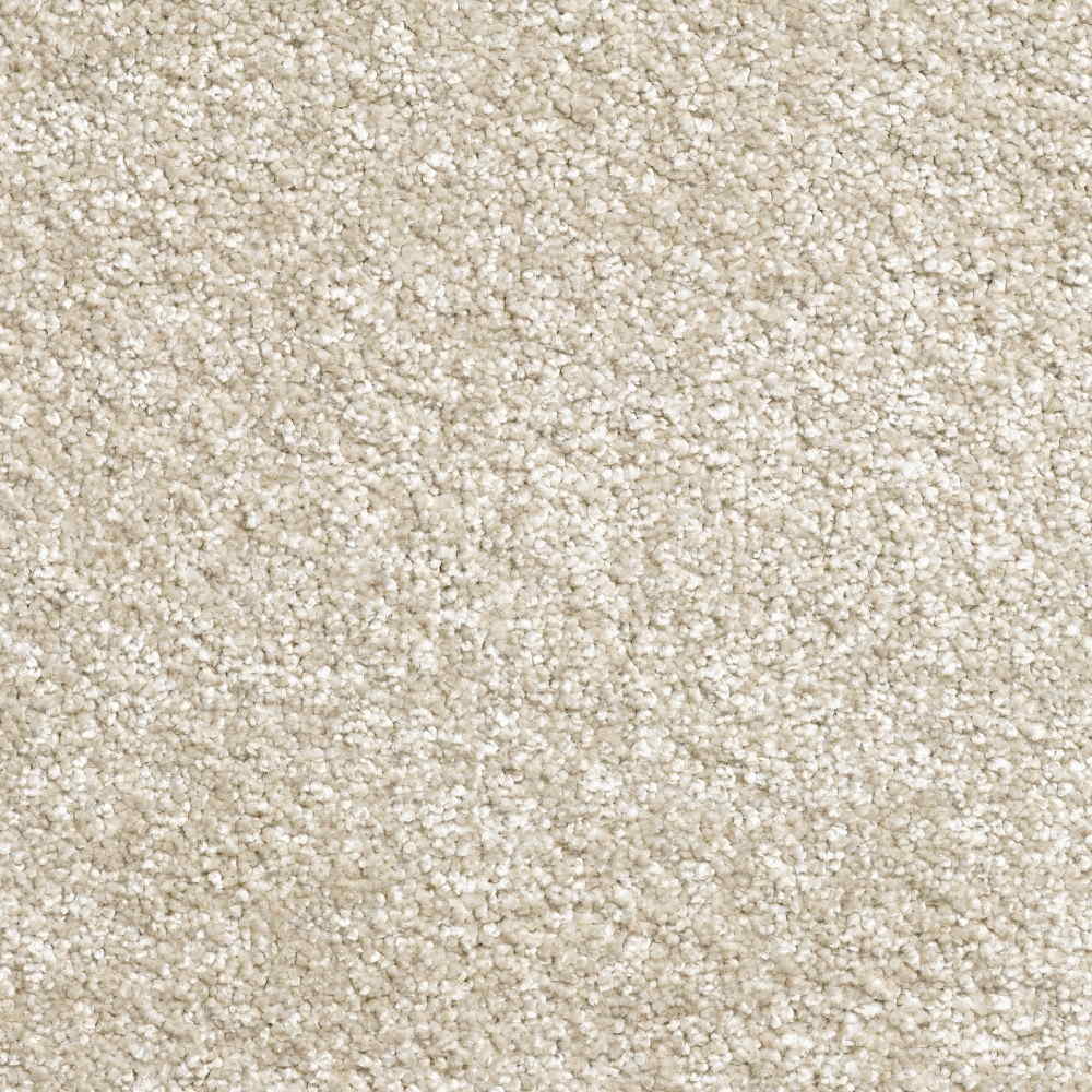 Light Beige Carpet 