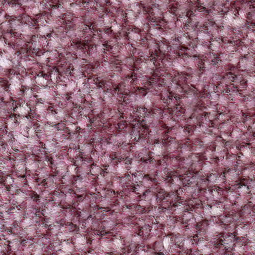 Thristle Carpet 