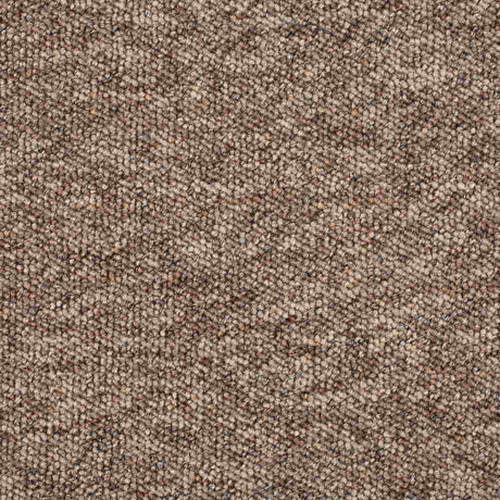 Gala Carpet
